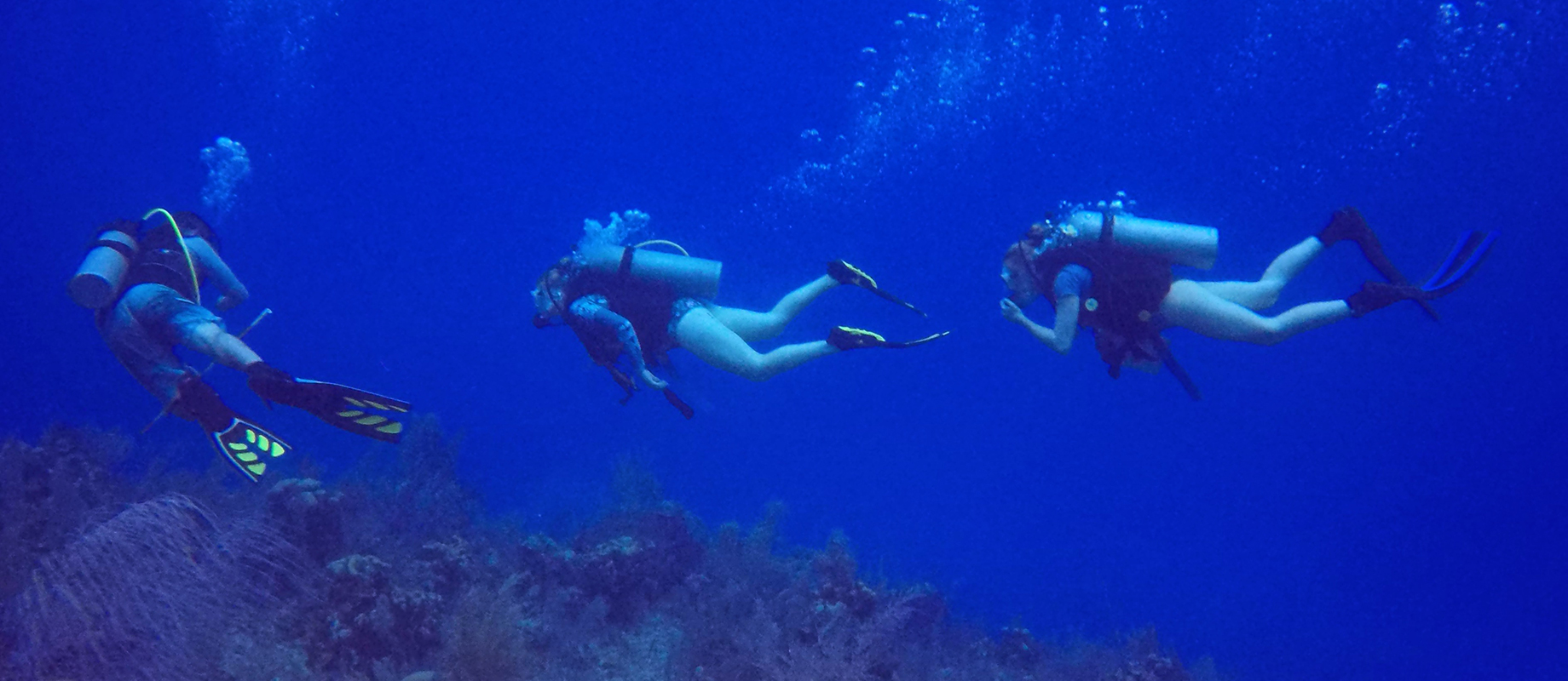 Simpson College graduate Molly Fisher exploring coral reef in the Cayman Islands